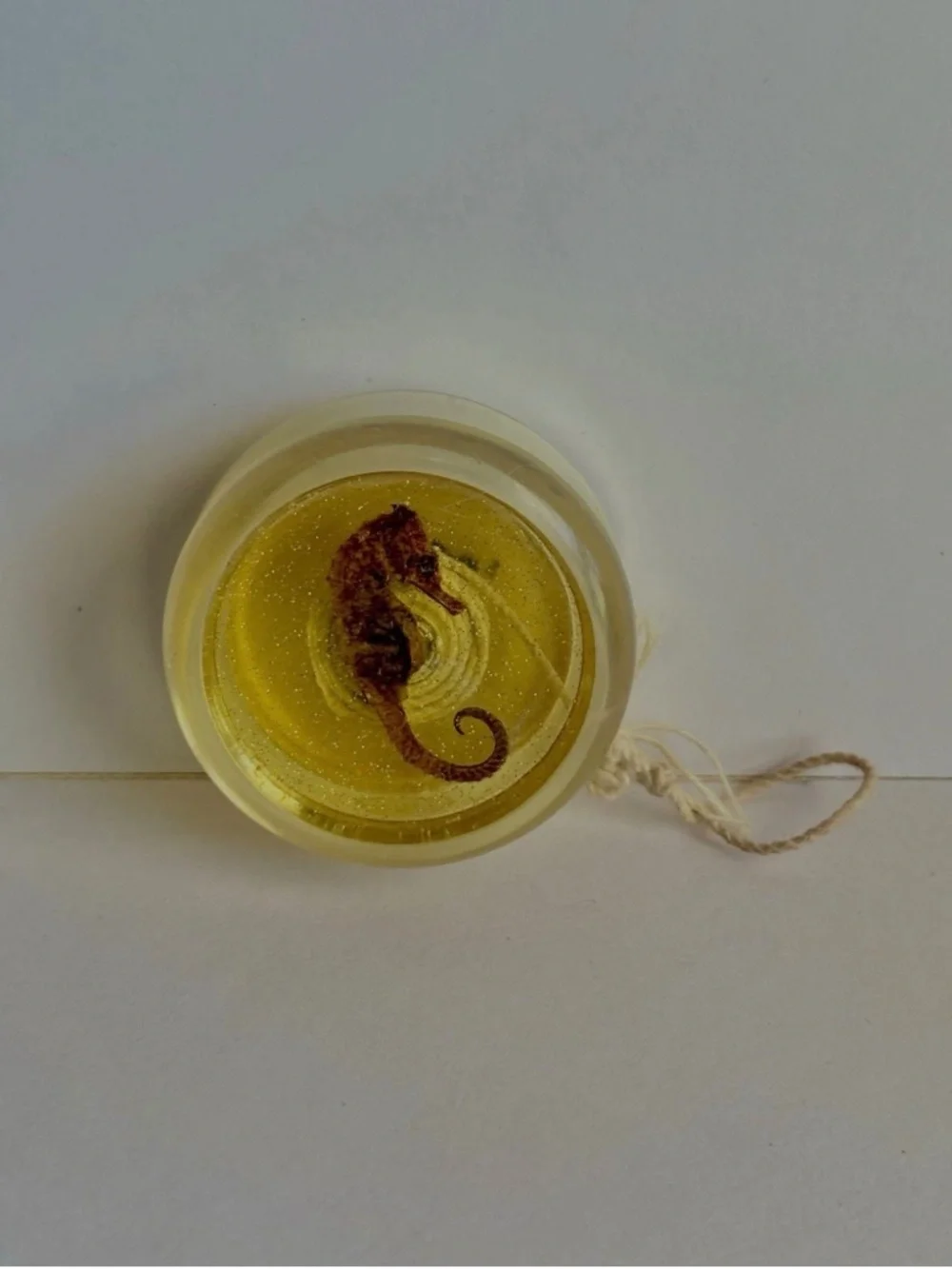 Vintage Sea Rider Preserved Resin Seahorse 90s Yo-Yo Retro Toy
